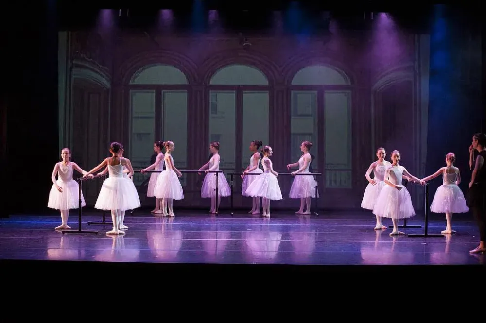 Class'danse spectacles 2018 (11)